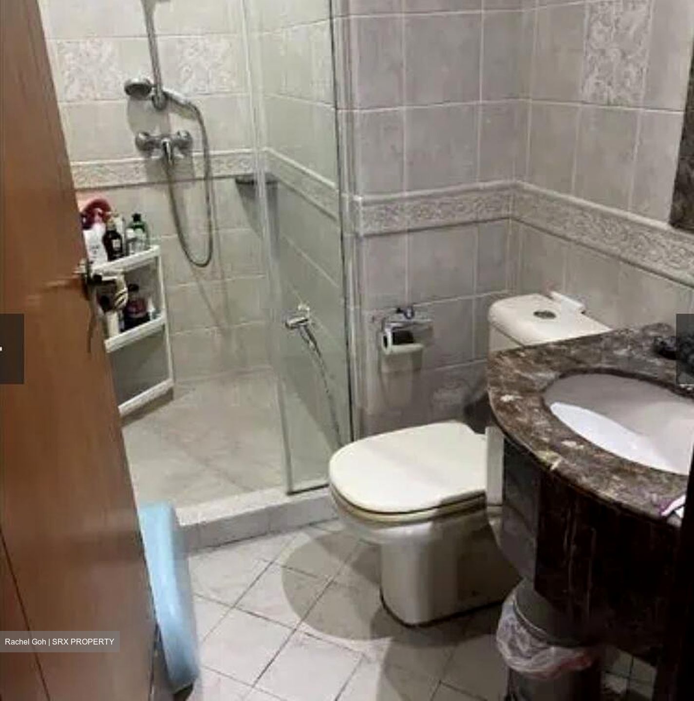 Signature Park (D21), Condominium #495644201